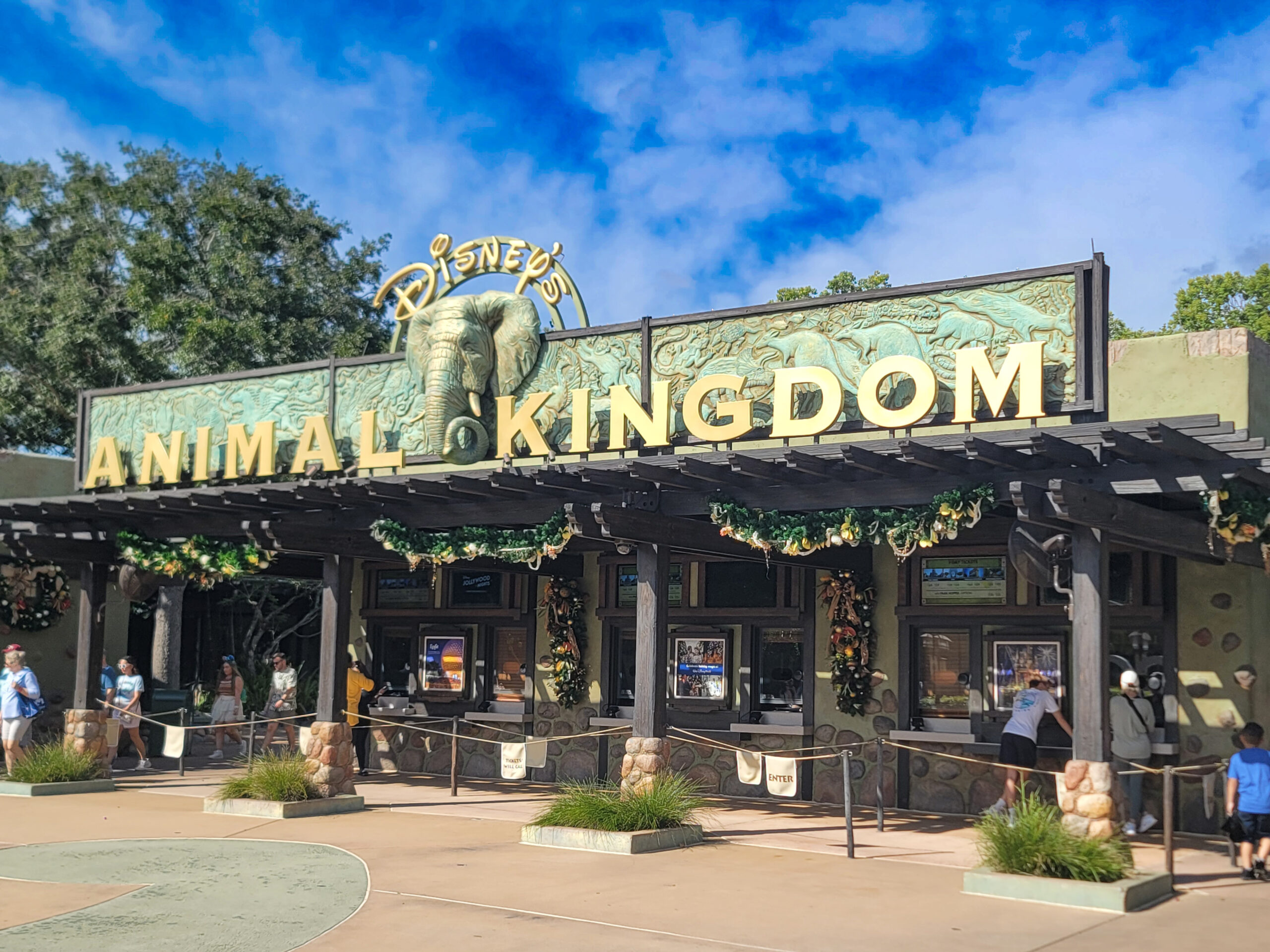 ANIMAL KINGDOM